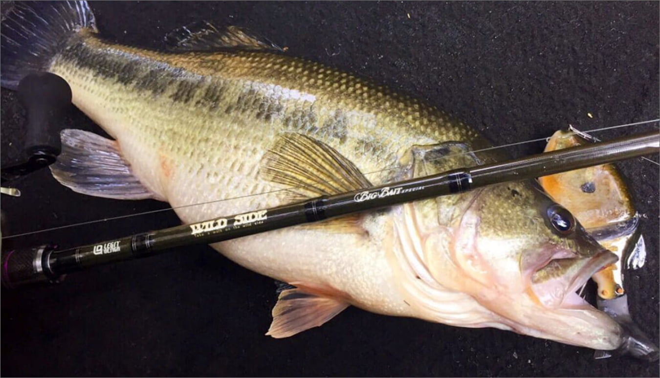 WILD SIDE 7’5” Big Bait Special Casting Rod